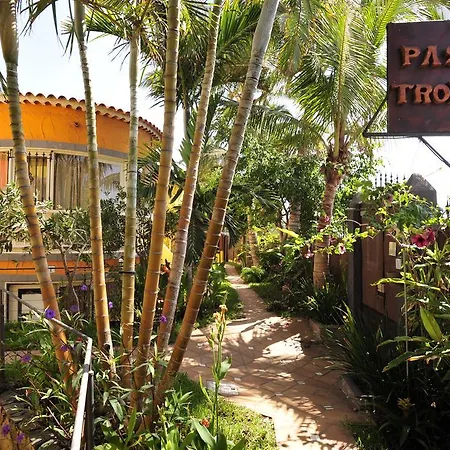 Pasion Tropical - Gay Only (adults Only) 3*