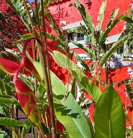 Hotel Pasion Tropical - Gay Only (adults Only)