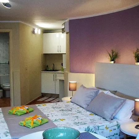 فندق Pasion Tropical - Gay Only (adults Only) 3*