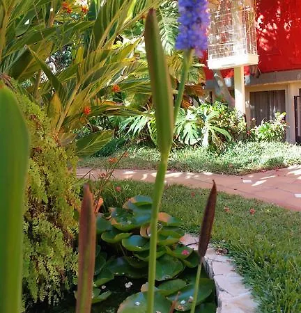 Pasion Tropical - Gay Only Resort (Adults Only) Playa Del Aguila (Las Palmas)