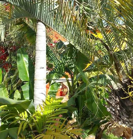 Pasion Tropical - Gay Only Resort (Adults Only) 3*